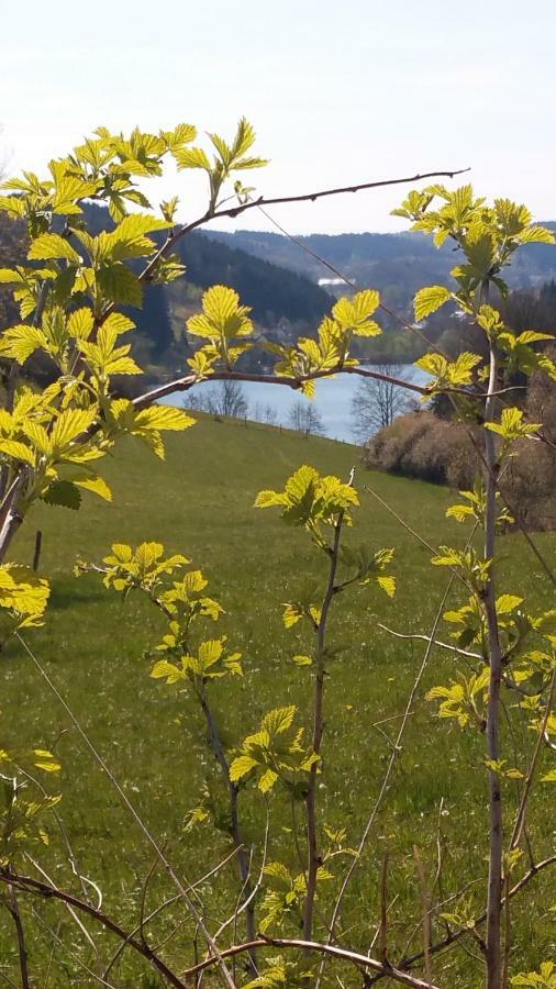 Ferienhaus " Silly " Am Schoenen Listersee 迈内尔茨哈根 外观 照片